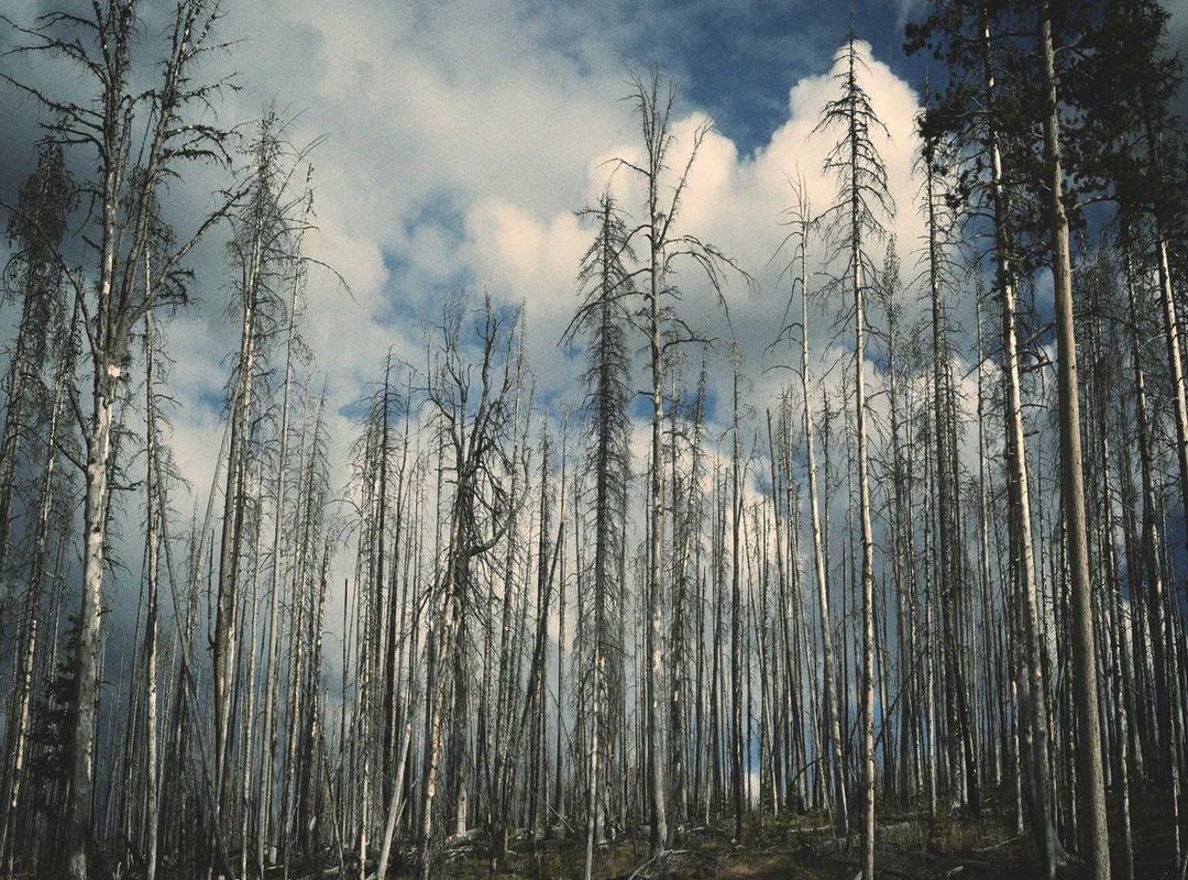 Getting Started: A Quick 3-Step Walkthrough