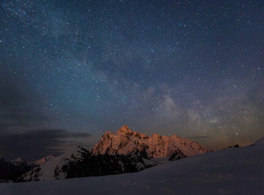 A Closer Look at the Star: Rui Hizuki