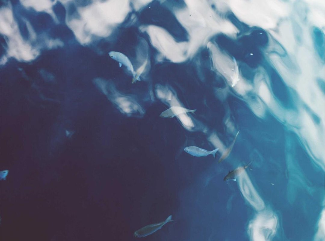 Fueling the Fire: Diet and Nutrition Insights