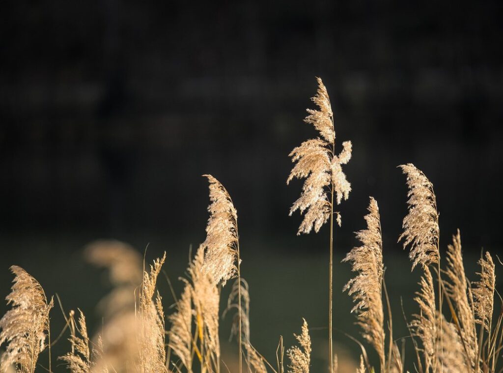 gym susanna reid instagram