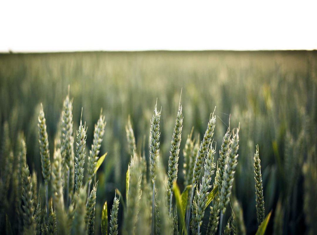 Putting Your PNG to Work: A 5-Minute Invitation Guide