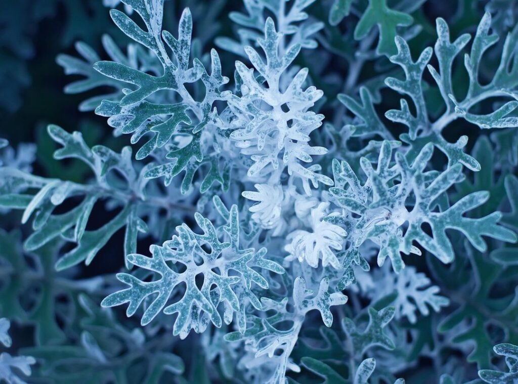 miller's girl sinhala sub