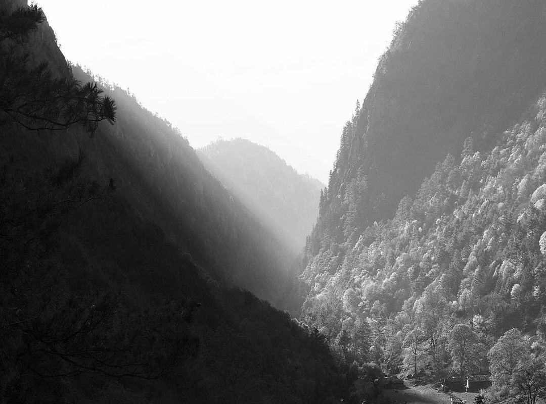 Installation and Setup: A Step-by-Step Guide