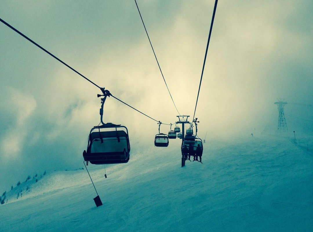 Getting the Most Out of Modgila: A Quick Guide