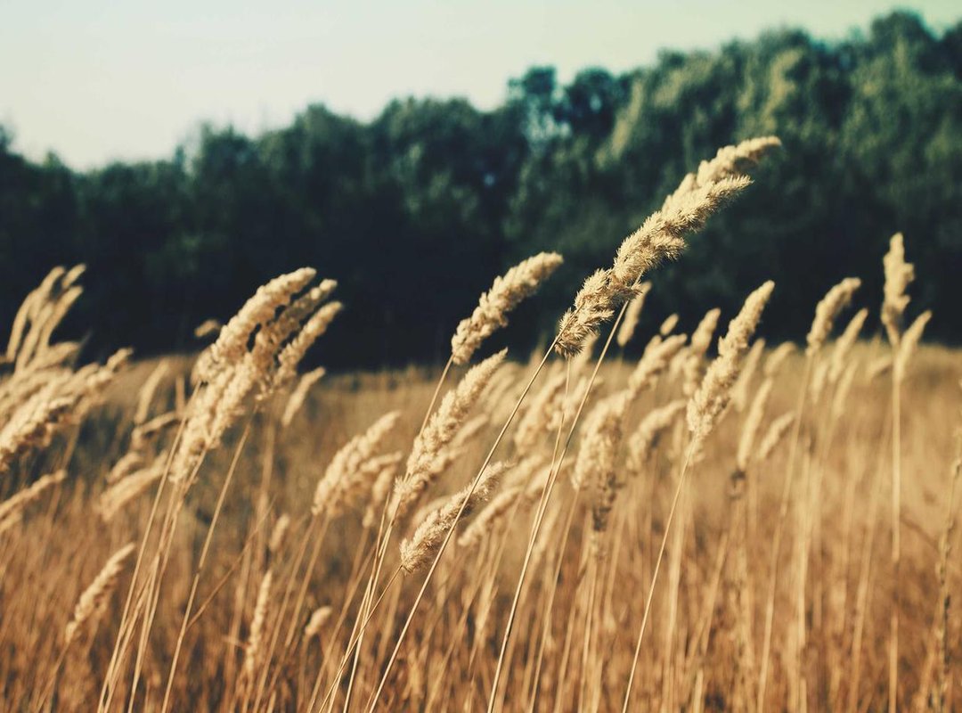 Behind the Scenes: Making of Polis Evo 3 Pencuri