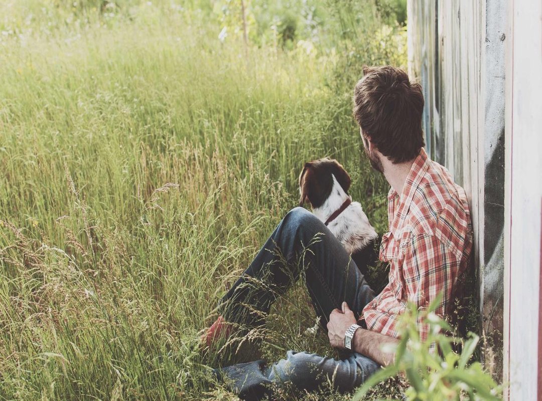 Famous Works by Rylsky: Examples and Analysis