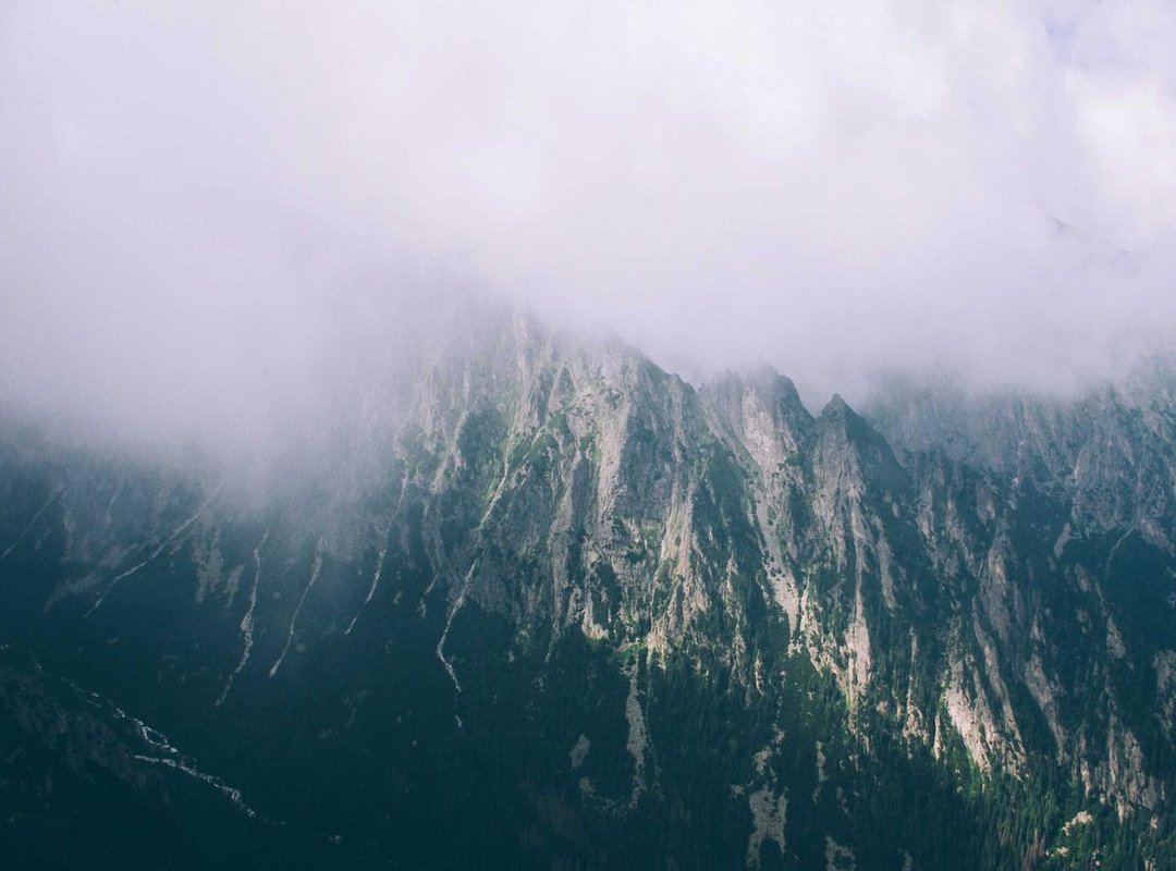 Getting Started: How to Find What You Need Fast