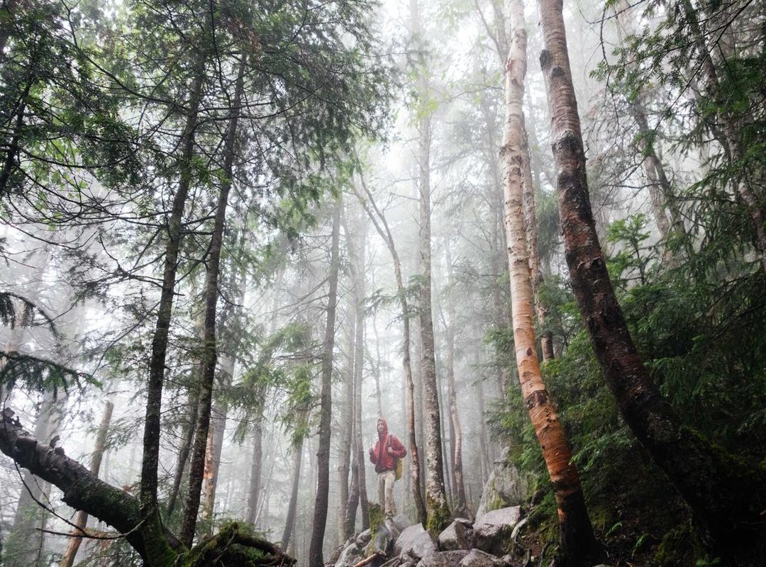 Putting Knowledge into Action: A Parent's Practical Checklist